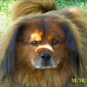 Meet your Posher, Sherry